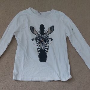 Kids Long Sleeve Zebra Graphic Tee